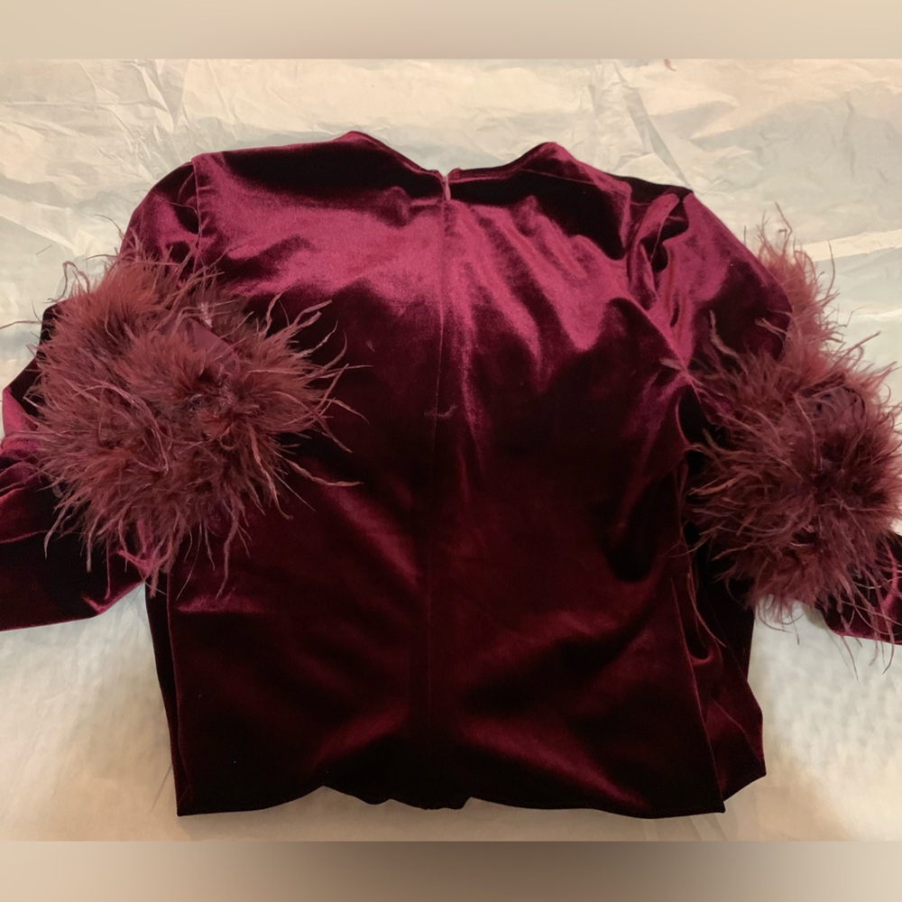 HOUSE OF CB 'Lavinia' Mulberry Velvet Mini Dress - Picture 6 of 8